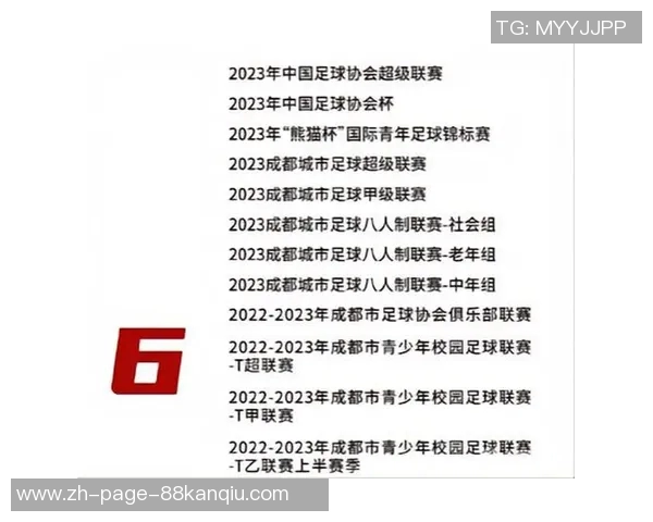 四川足球的崛起与发展探索如何推动地方体育文化的全面提升与影响